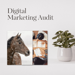Digital Marketing Audit